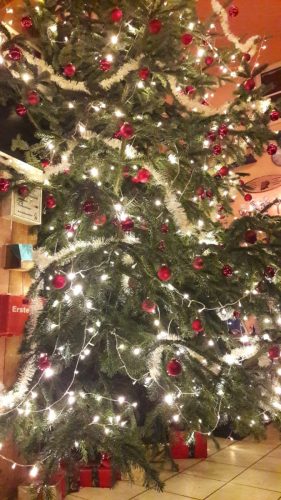 PHOTO-2019-12-22-15-55-05