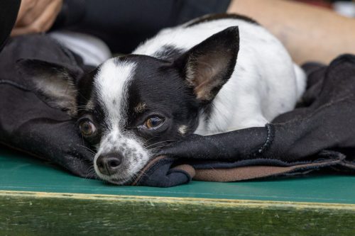 20220828-bayerische-57